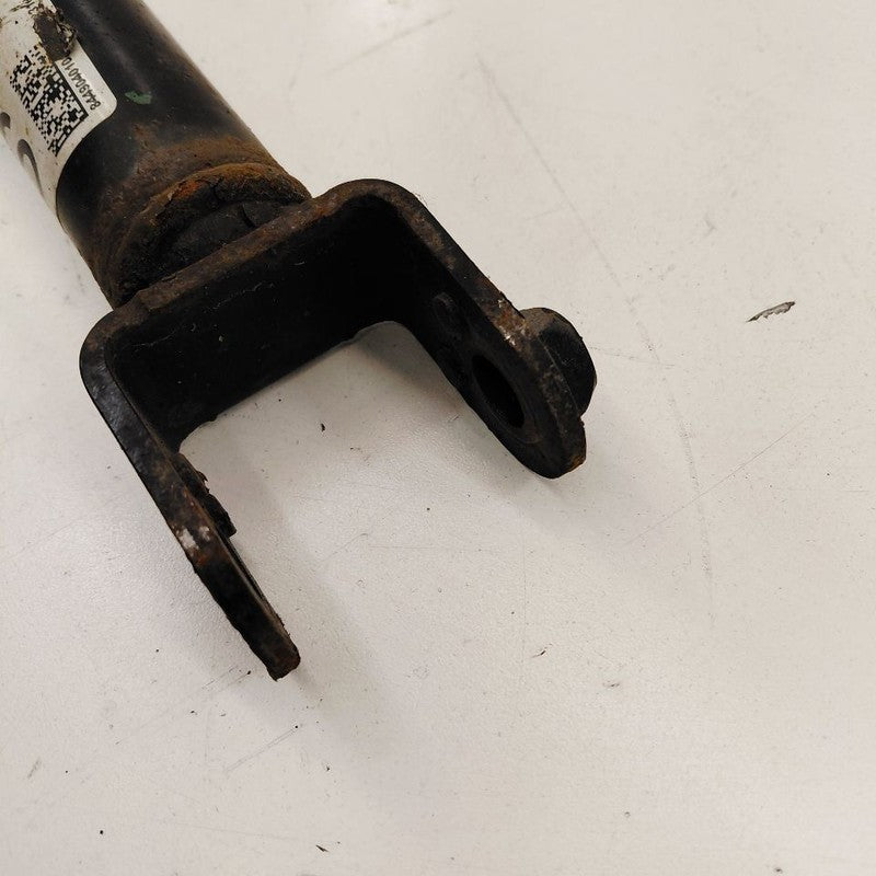 Nissan Maxima Passenger Right Rear Shock Absorber 2018 2017 2016 OEM