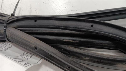 Ford Taurus On Door Seal Rubber Left Driver Front  2013 2014 2015 2016