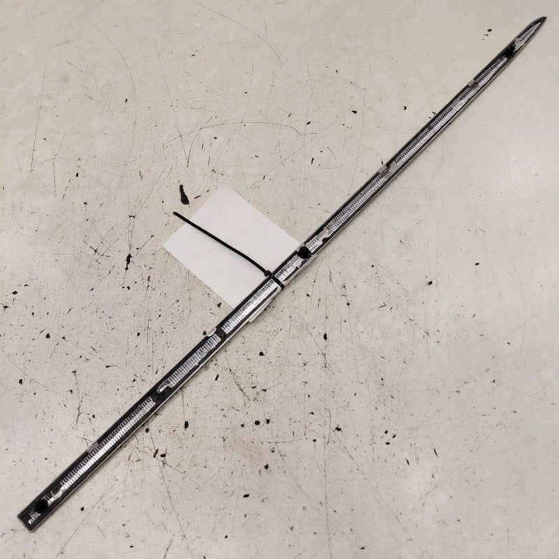 Cadillac CT6 Door Molding Trim Strip Left Driver Side Rear Back  2018 