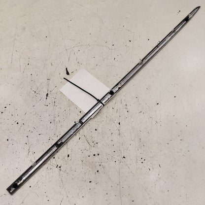 Cadillac CT6 Door Molding Trim Strip Left Driver Side Rear Back  2018 