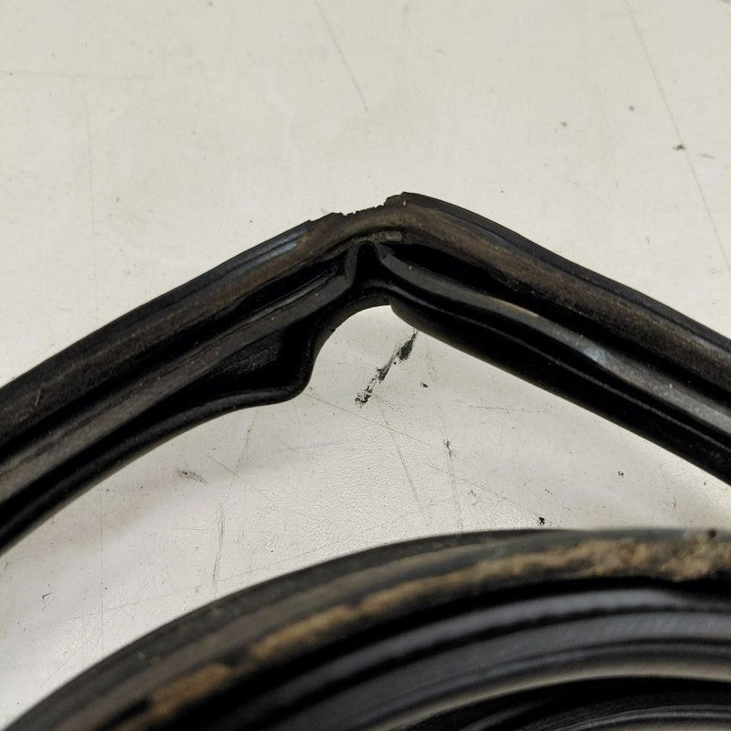 Nissan Maxima Trunk Lid Hatch Door Rear Back Rubber Seal  2018 2017 20
