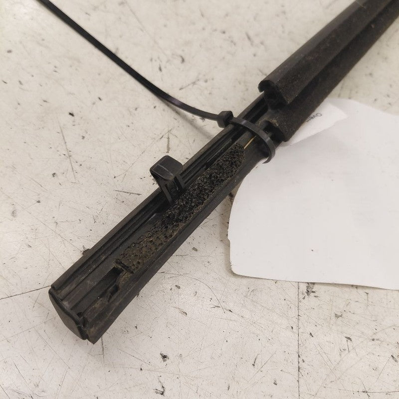 Toyota Prius Door Glass Window Weather Strip Trim Front Right Passenge