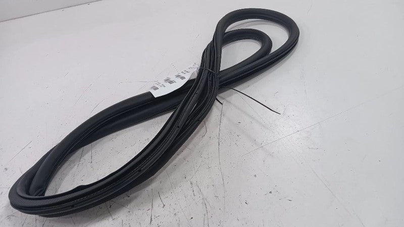 Buick Encore On Body Door Jamb Seal Rear Right Passenger Back  2016 2017 2018 20