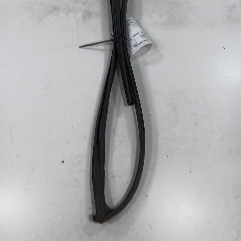 Honda Civic Door Glass Window Seal Rubber Left Driver Front  2018 2017 2016