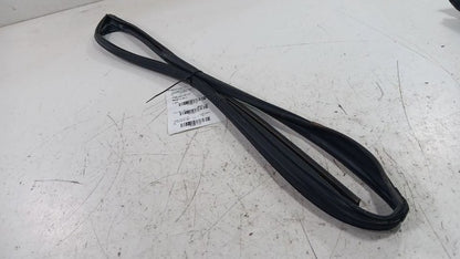 Acura RDX Door Glass Window Seal Rubber Left Driver Front  2016 2017 2