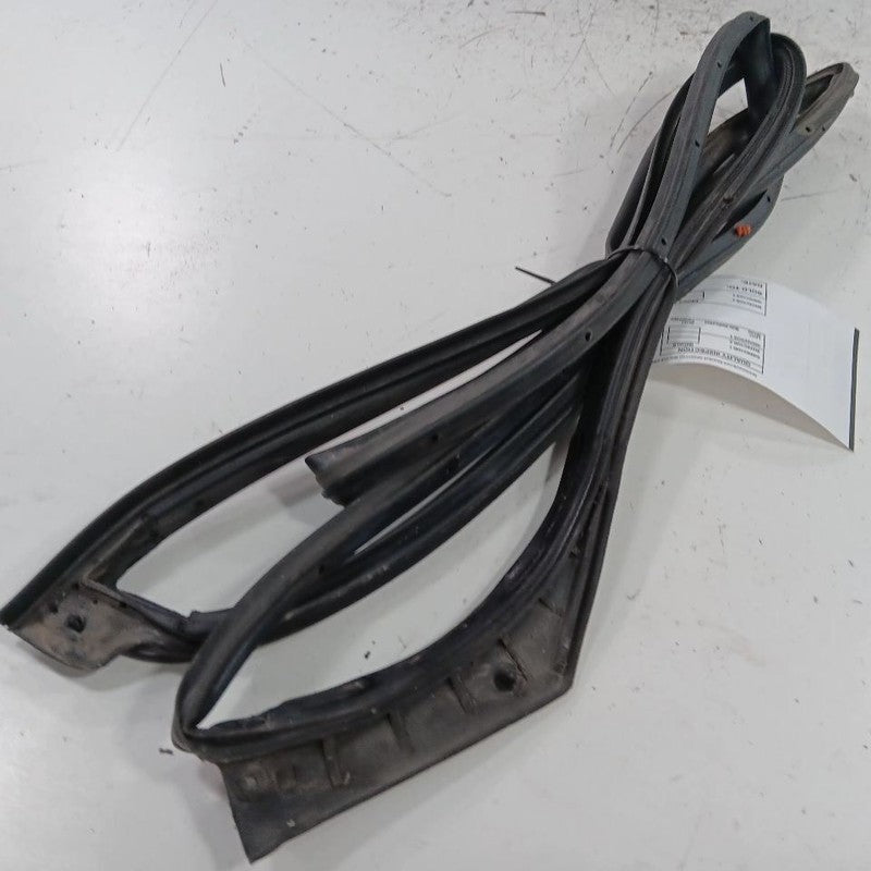 Hyundai Elantra On Door Seal Rubber Right Passenger Front  2017 2016 2