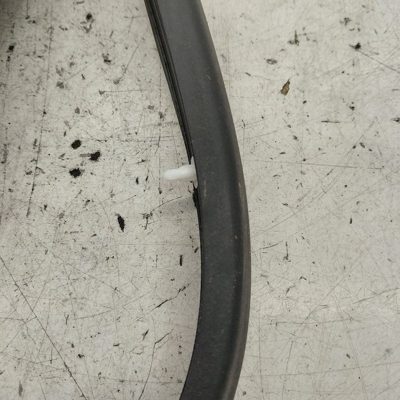 Hyundai Santa Fe On Door Seal Rubber Left Driver Front  2019 2020