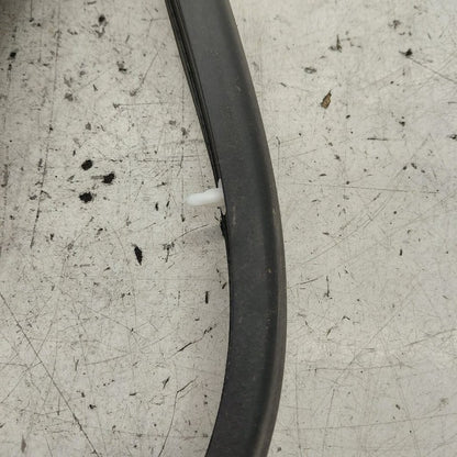 Hyundai Santa Fe On Door Seal Rubber Left Driver Front  2019 2020