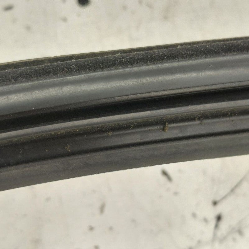 Volvo S60 Door Glass Window Seal Rubber Left Driver Rear Back  2013 20