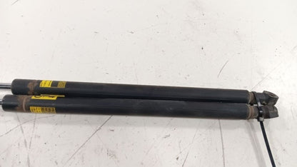 Toyota Prius Hatchback Strut    2012 2013 2014 2015 OEM