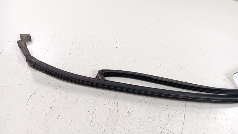 Chevrolet Equinox Door Glass Window Seal Rubber Right Passenger Front 
