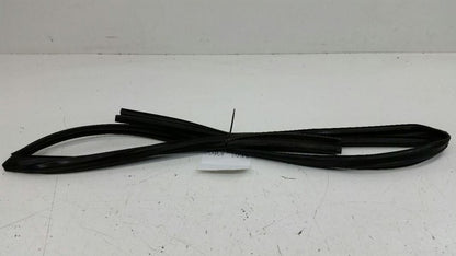 Nissan Sentra Door Glass Window Seal Rubber Gasket Left Driver Front 2007 2008
