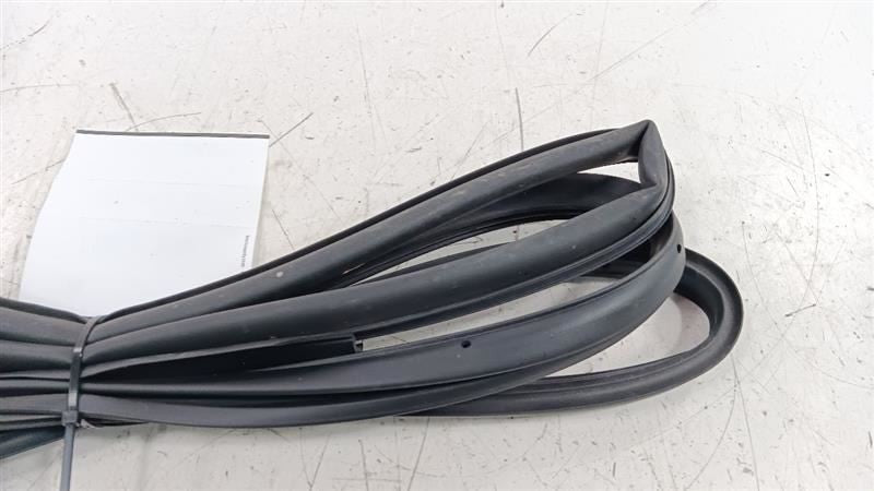 Kia Forte On Door Seal Rubber Left Rear Back 2016 2015 2014 OEM