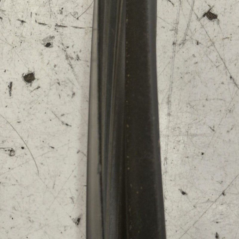 Ford Edge Door Glass Window Seal Rubber Right Passenger Front  2019 20