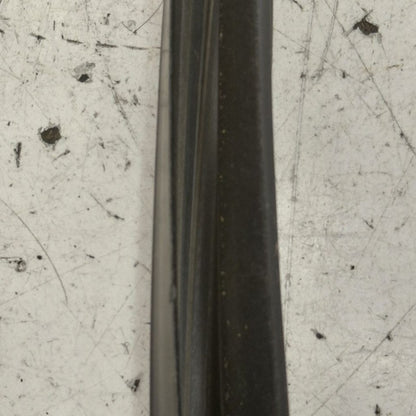Ford Edge Door Glass Window Seal Rubber Right Passenger Front  2019 20