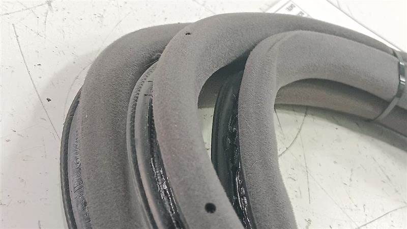 Lexus LS460 On Body Door Jamb Seal Rear Right Passenger Back  2007 200
