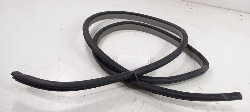 Toyota Camry On Body Door Jamb Seal Front Right Passenger 2007 2008 2009