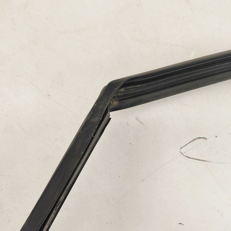 Chevy Volt Door Glass Window Seal Rubber Right Passenger Front  2019 2