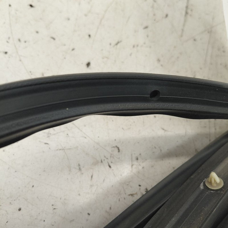 Chevy Volt On Door Seal Rubber Right Passenger Front  2019 2018 2017 2