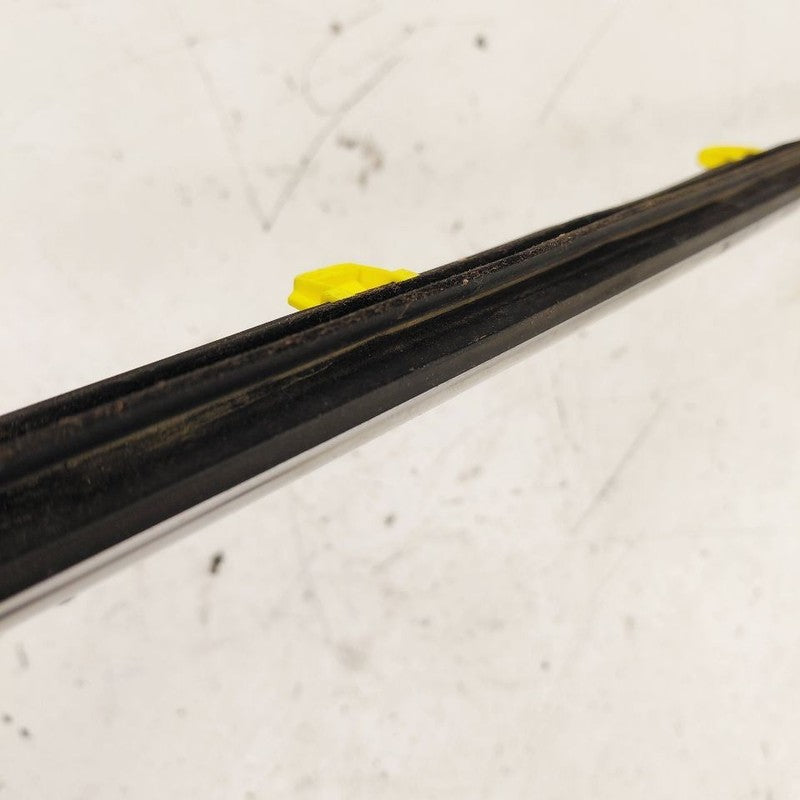Honda CR-V Door Glass Window Weather Strip Trim Rear Left Driver Back 
