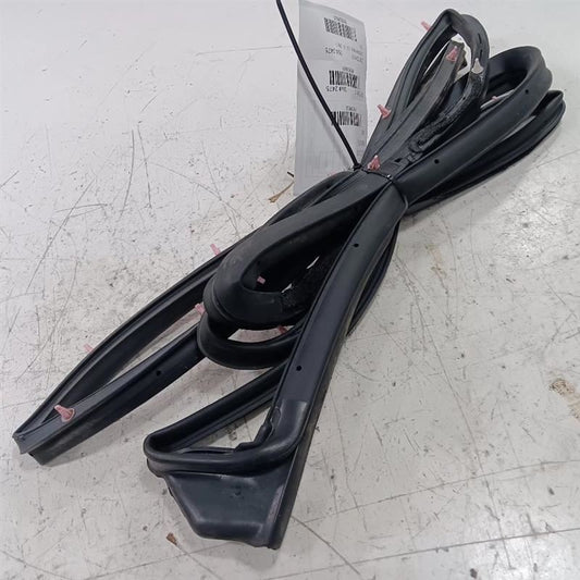 Toyota Rav 4 On Door Seal Rubber Left Rear Back  2015 2016 2017 2018