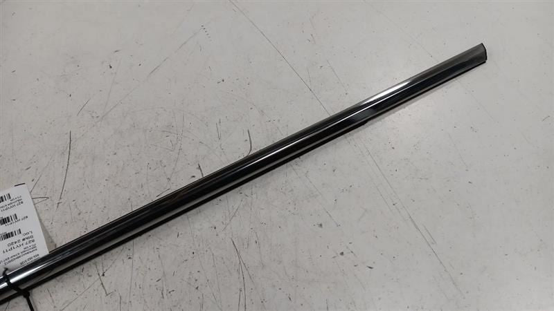 Hyundai Sonata Door Glass Window Weather Strip Trim Front Left Driver 