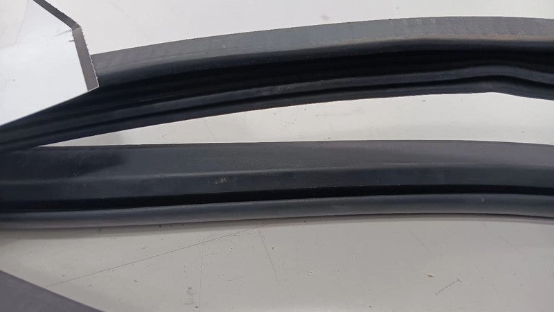 Dodge Dart On Body Door Jamb Seal Gasket Front Left Driver  2013 2014 2015 2016