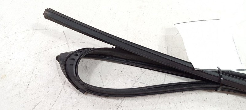 Infiniti Q50 Door Glass Window Seal Rubber Right Passenger Rear Back 2014 2015 