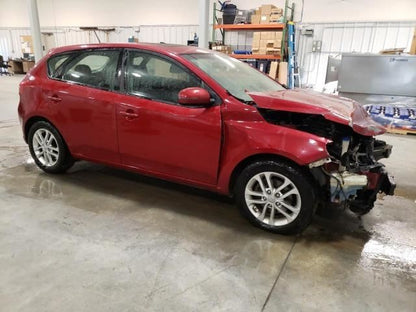 Kia Forte Door Glass Window Weather Strip Trim Rear Right Passenger Si