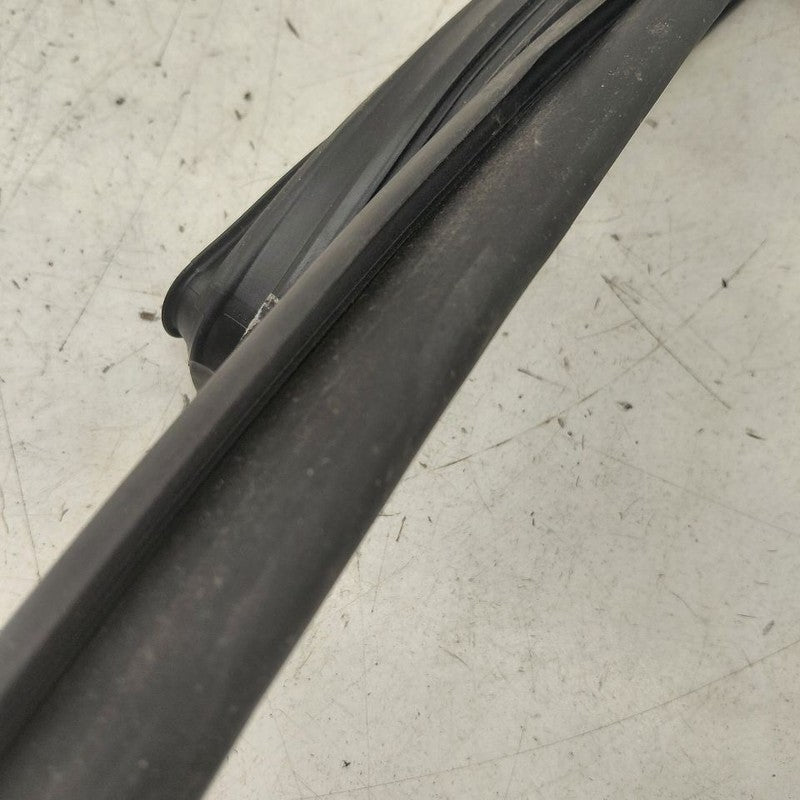 Toyota Prius Door Glass Window Seal Rubber Left Driver Rear Back  2022