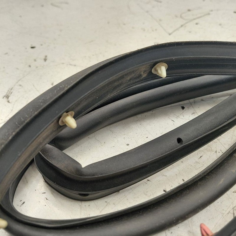Chevy Volt On Door Seal Rubber Left Driver Front  2019 2018 2017 2016