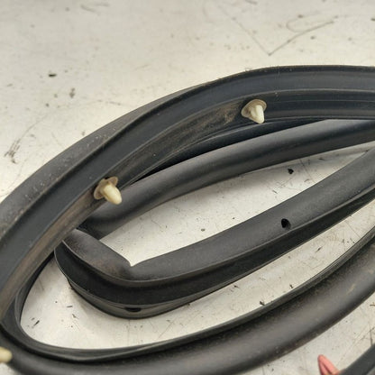 Chevy Volt On Door Seal Rubber Left Driver Front  2019 2018 2017 2016