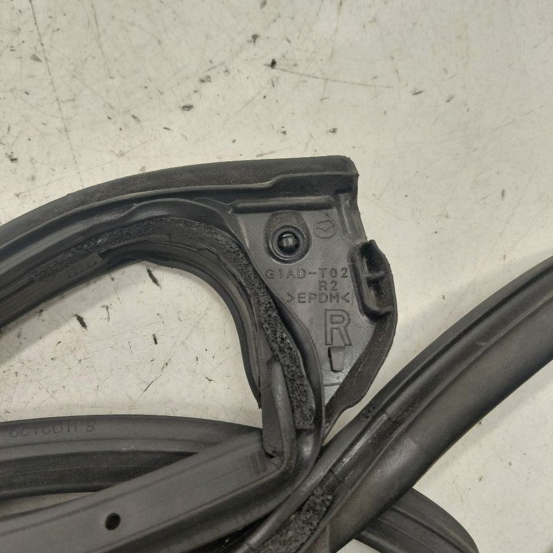 Mazda 6 On Door Seal Rubber Right Passenger Rear Back  2018 2019 2020 