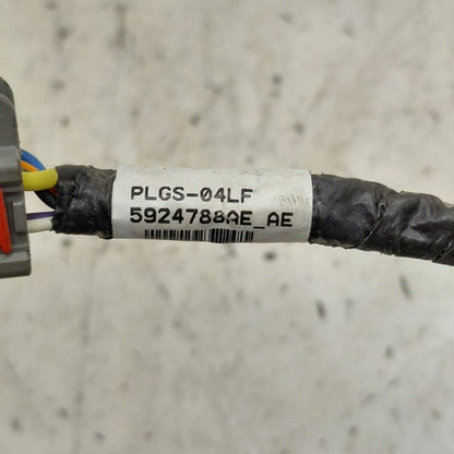 Cadillac CT6 Hatchback Hatch Back Trunk Lid Shock Strut Support  2018 