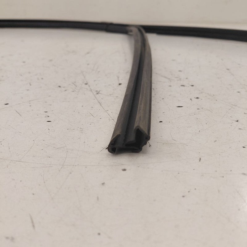 2018 Fiat 500 X Model Door Glass Window Seal Rubber Right Passenger Fr