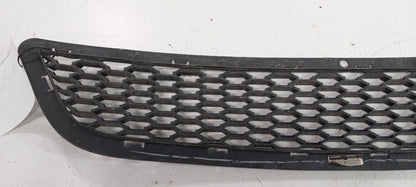Grille Grill Lower Painted Fits 11-20 Dodge Journey OEM