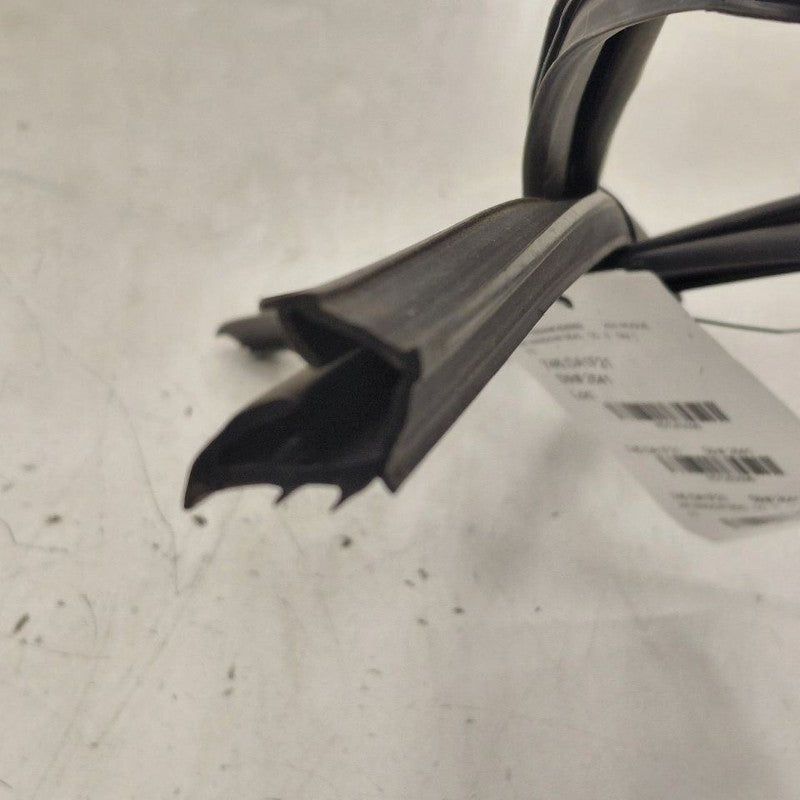 Nissan Rogue Door Glass Window Seal Rubber Right Passenger Rear Back  