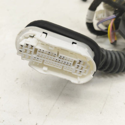 Nissan Versa Door Harness Wire Wiring Right Passenger Front  2024 2023