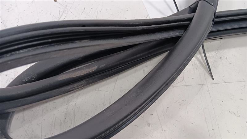 Dodge Dart On Body Door Jamb Seal Rear Right Passenger Back  2013 2014 2015 2016