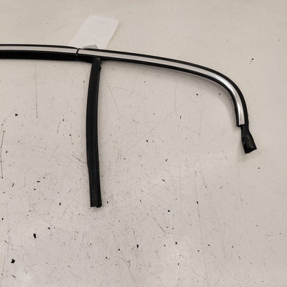 Volvo S60 Door Glass Window Seal Rubber Left Driver Rear Back  2018 20