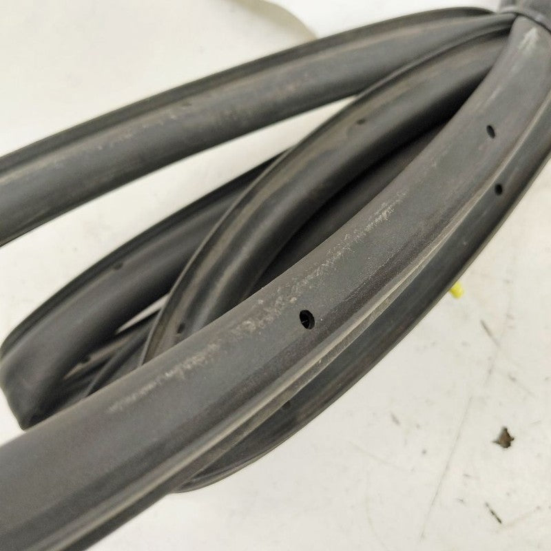 Ford Escape On Door Seal Rubber Right Passenger Rear Back  2022 2023 2