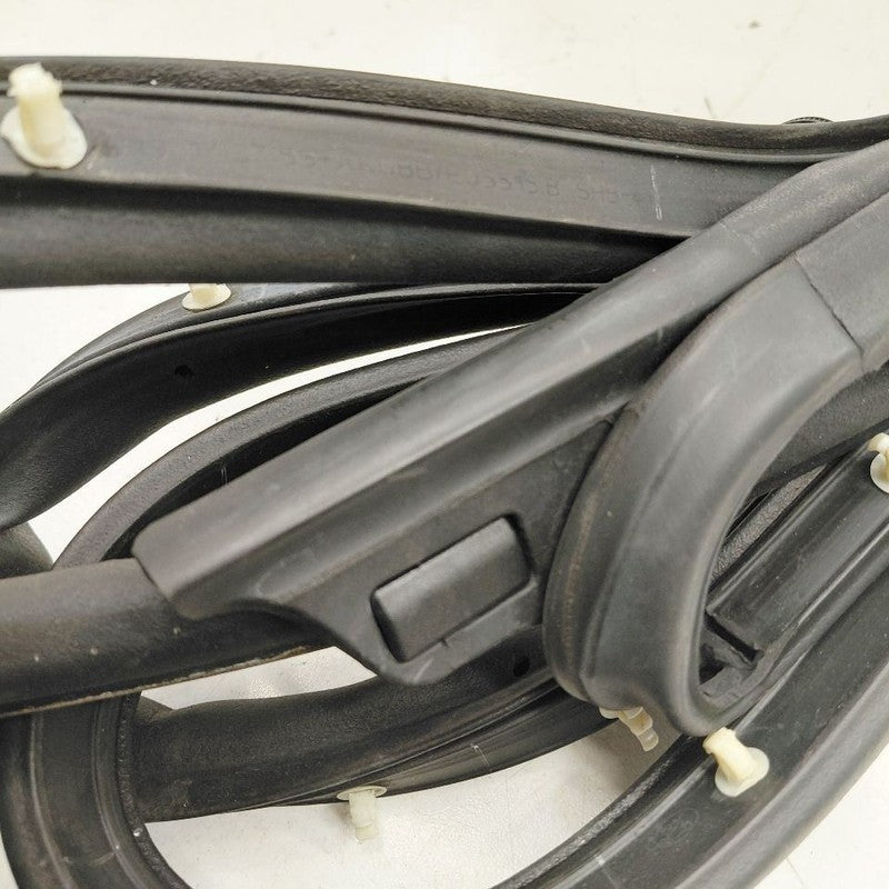 Ford Ecosport On Door Seal Rubber Left Driver Front  2020 2021 2022 OE