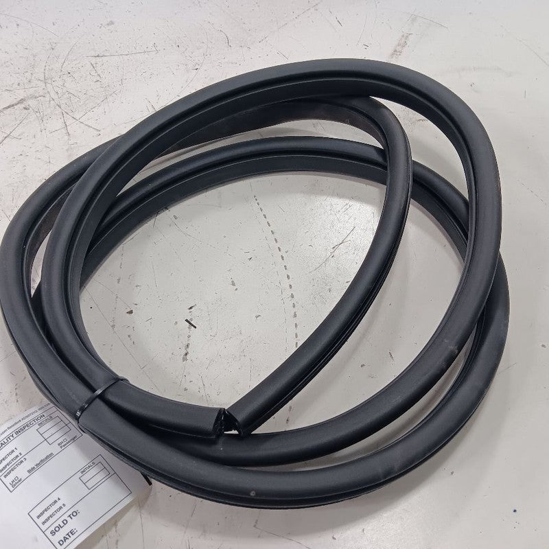 Ford Escape On Body Door Jamb Seal Rear Left Driver Back  2019 2018 20