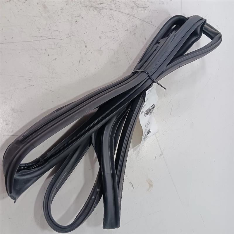 Buick Encore On Door Seal Rubber Left Rear Back  2017 2018 2019 2020 O