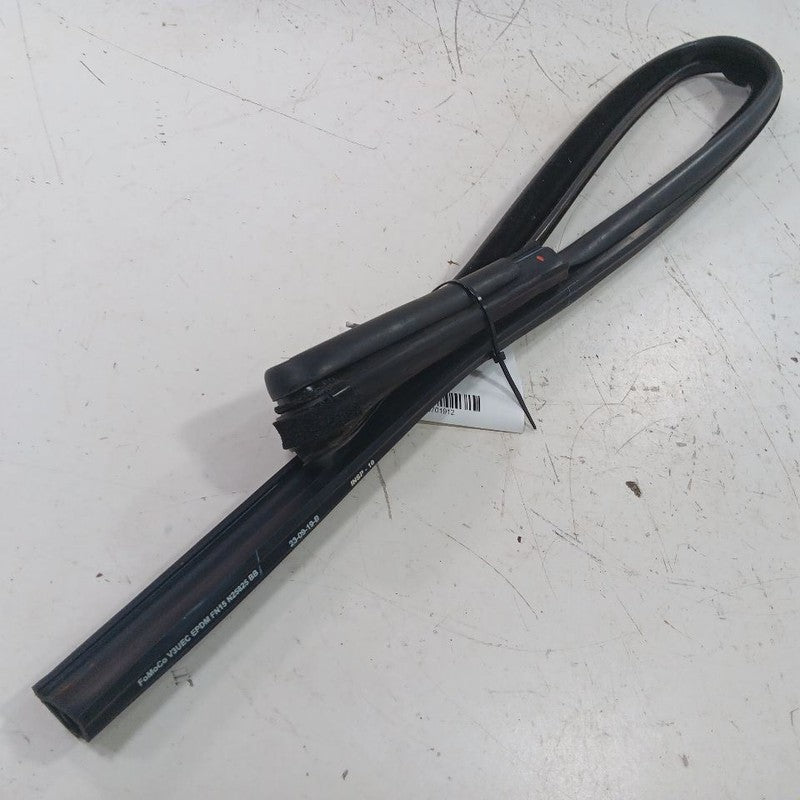 Ford Ecosport Door Glass Window Seal Rubber Left Driver Rear Back 2022