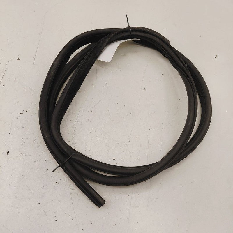 Chrysler 300 On Body Door Jamb Seal Gasket Front Left Driver  2017 201