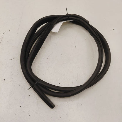 Chrysler 300 On Body Door Jamb Seal Gasket Front Left Driver  2017 201