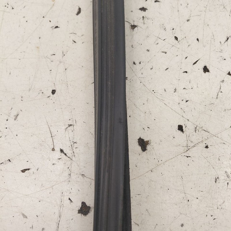Ford Edge Door Glass Window Seal Rubber Left Driver Rear Back  2019 20