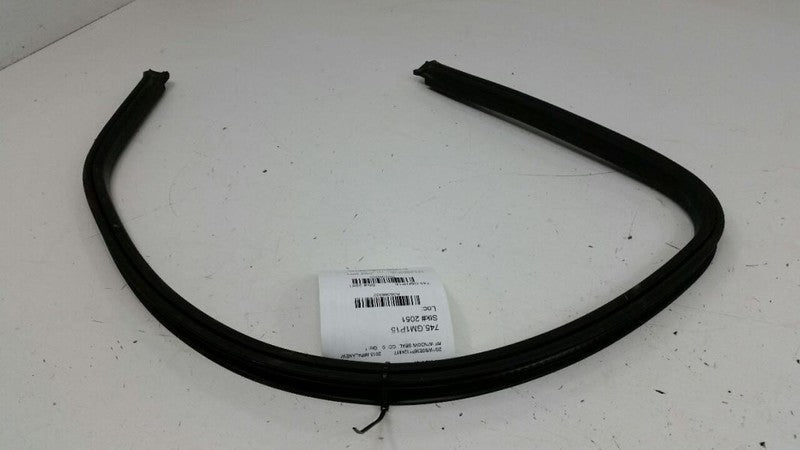 Chevy Impala Door Glass Window Seal Rubber Gasket Right Passenger Front 2015 OEM