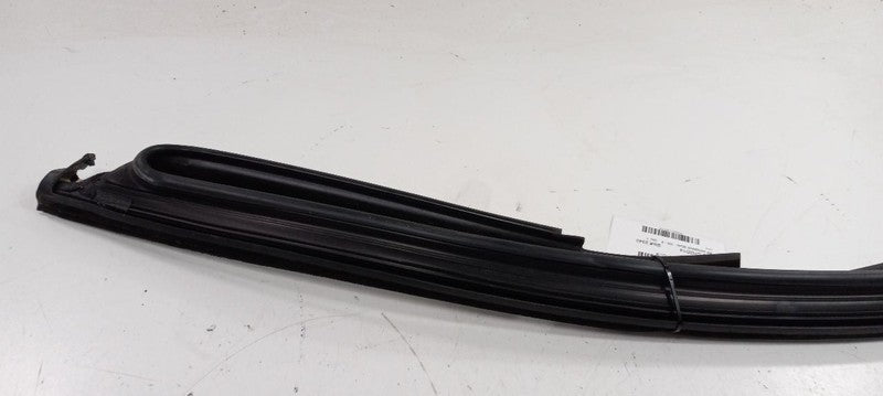 Dodge Dart Door Glass Window Seal Rubber Right Passenger Front 2013 2014 2015 16